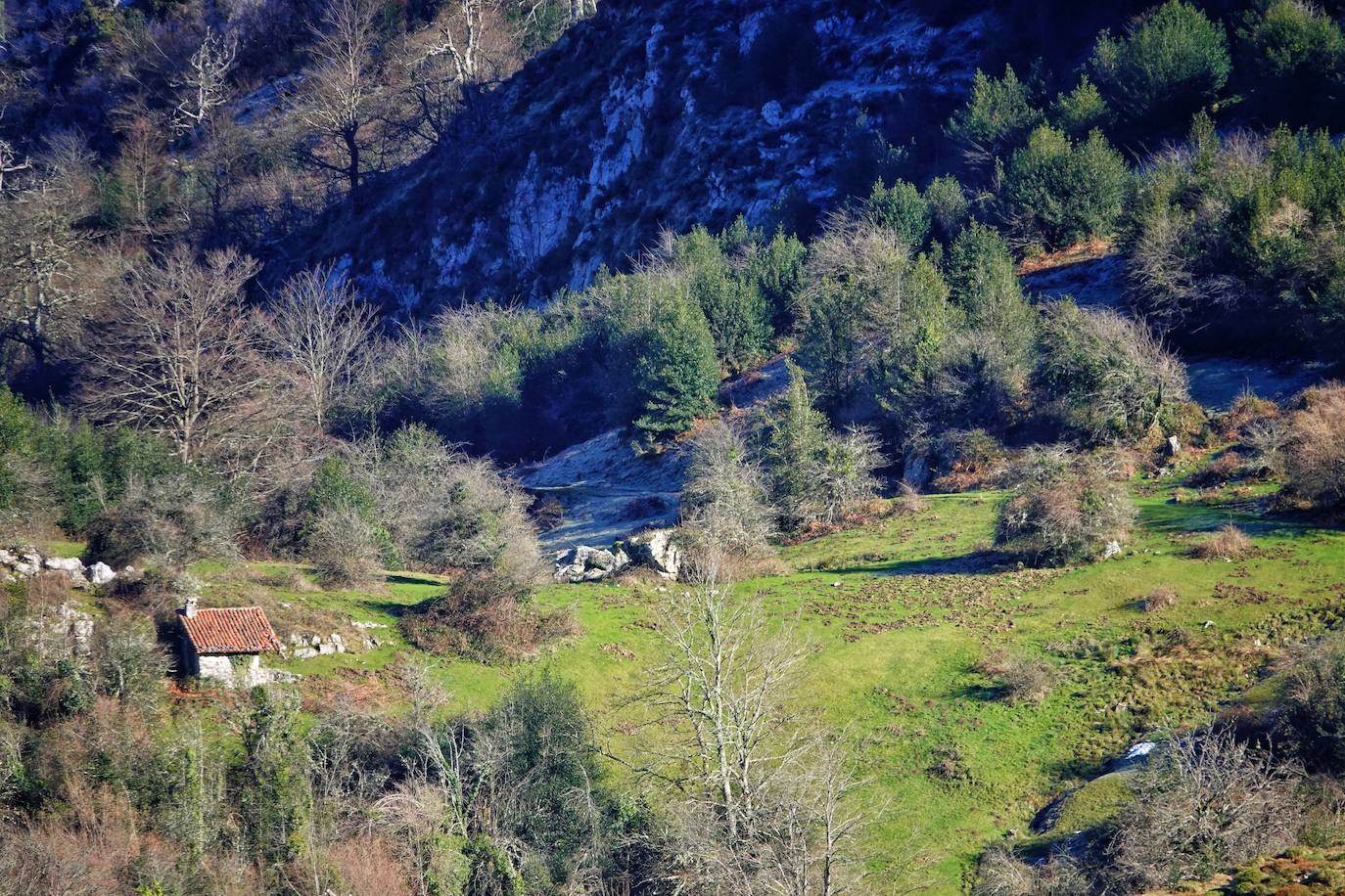 Entre el puerto del Pontón y el municipio de Amieva, atravesando el Parque Nacional de los Picos de Europa, existe un trazado de piedra serpenteante digno de conocer y andar: la senda del Arcedianu 