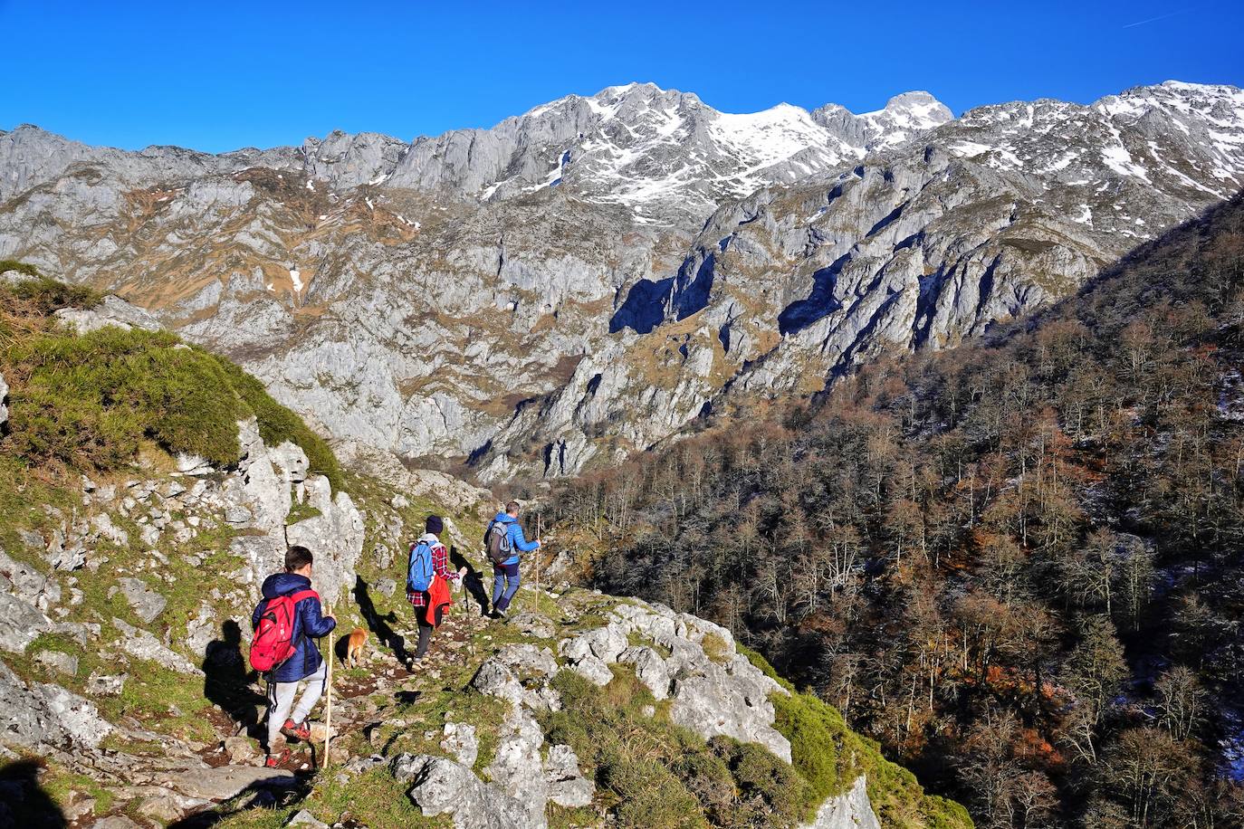 Entre el puerto del Pontón y el municipio de Amieva, atravesando el Parque Nacional de los Picos de Europa, existe un trazado de piedra serpenteante digno de conocer y andar: la senda del Arcedianu 