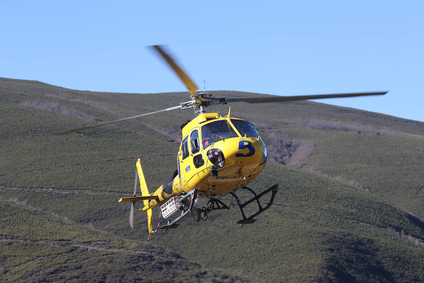 La rápida actuación de los servicios de emergencias impidió que el incendio entrase en la reserva natural de Muniellos, situada en la vertiente inmediatamente aledaña a la zona donde se estaba produciendo el fuego, que tiene todos las indicios de haber sido provocado, como comentaron algunos vecinos de la zona.