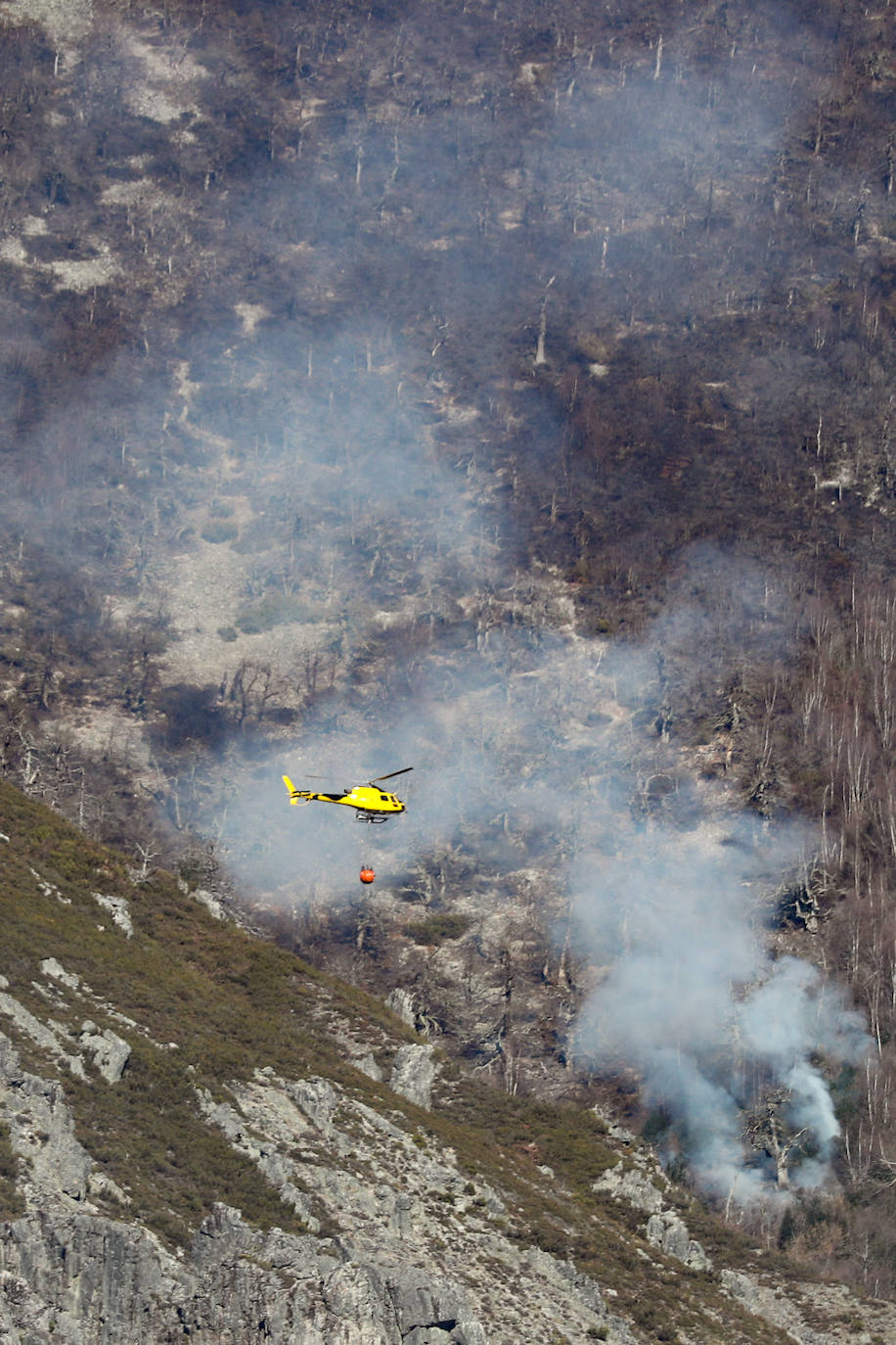 La rápida actuación de los servicios de emergencias impidió que el incendio entrase en la reserva natural de Muniellos, situada en la vertiente inmediatamente aledaña a la zona donde se estaba produciendo el fuego, que tiene todos las indicios de haber sido provocado, como comentaron algunos vecinos de la zona.