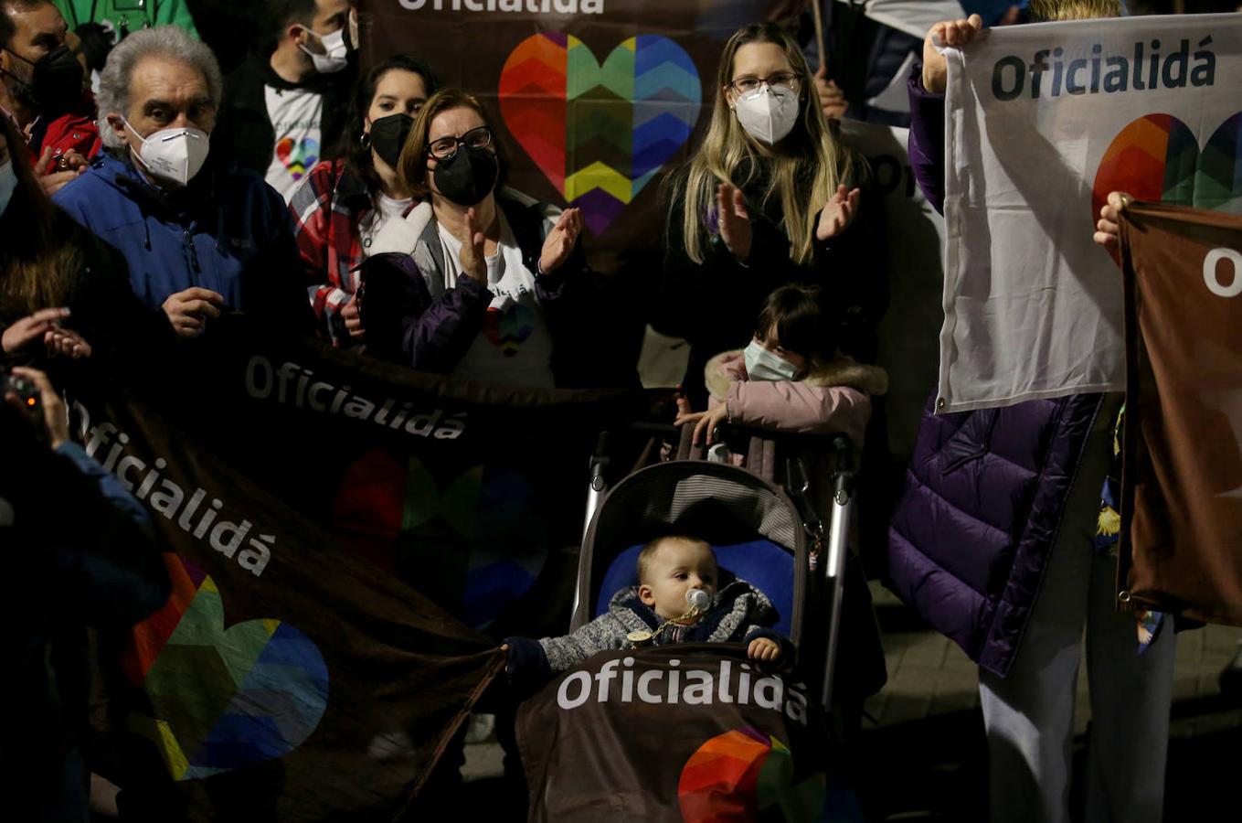 Multitud de manifestantes proclamaron su posición a favor de la oficialidad del asturiano en los alrededores de la Junta General.