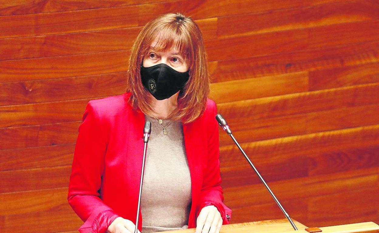 Ana Cárcaba, consejera de Hacienda, en la Junta General. 