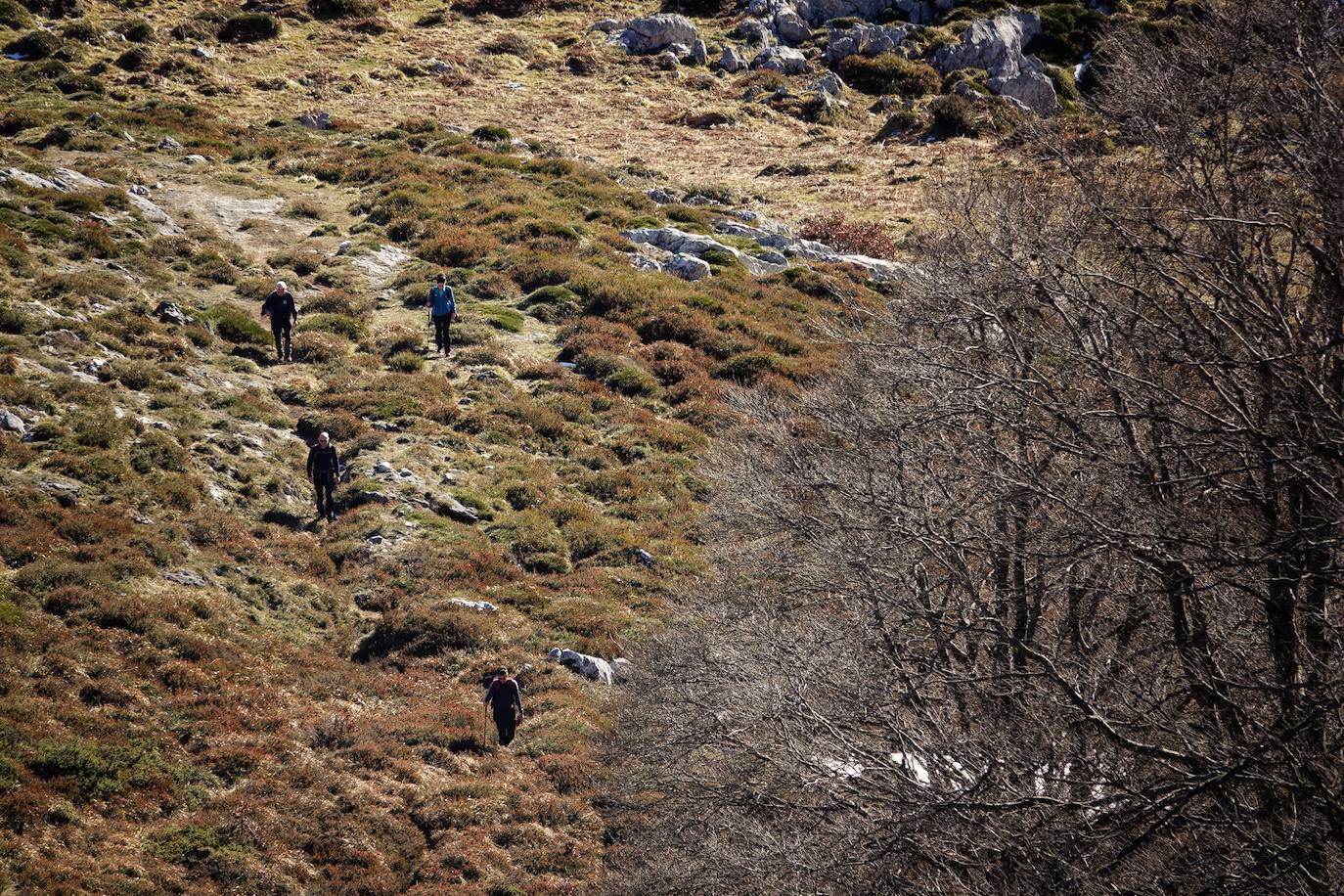 La ascensión a Peña Main (1605m), en pleno macizo de los Urrieles, no resulta complicada y, sin embargo, esta cumbre es una atalaya perfecta para observar los tres macizos de los Picos de Europa y sus cimas más altas y míticas