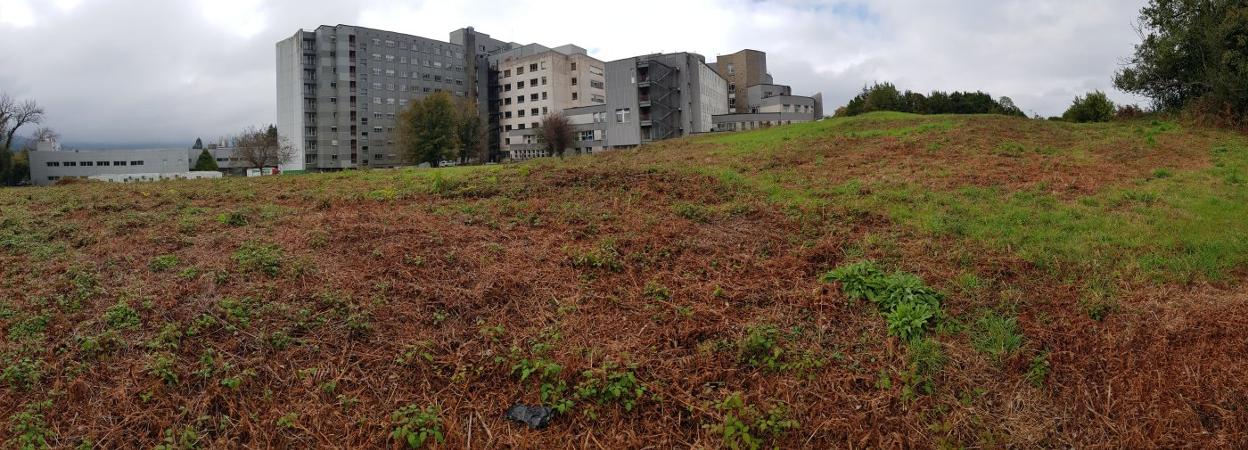 Parcela en la que se llevará a cabo la primera fase de las obras de ampliación de Cabueñes. 