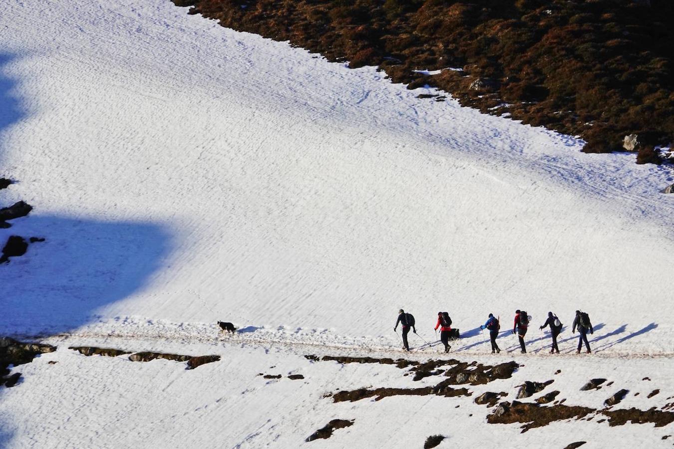 El cuerpo sin vida de Carlos Ugidos, el montañero llanisco desaparecido en Picos de Europa, fue hallado este jueves a las 12.15 horas en la ladera norte del pico Mancondiú y las primeras hipótesis apuntan a una caida por una ladera de fuerte pendiente.