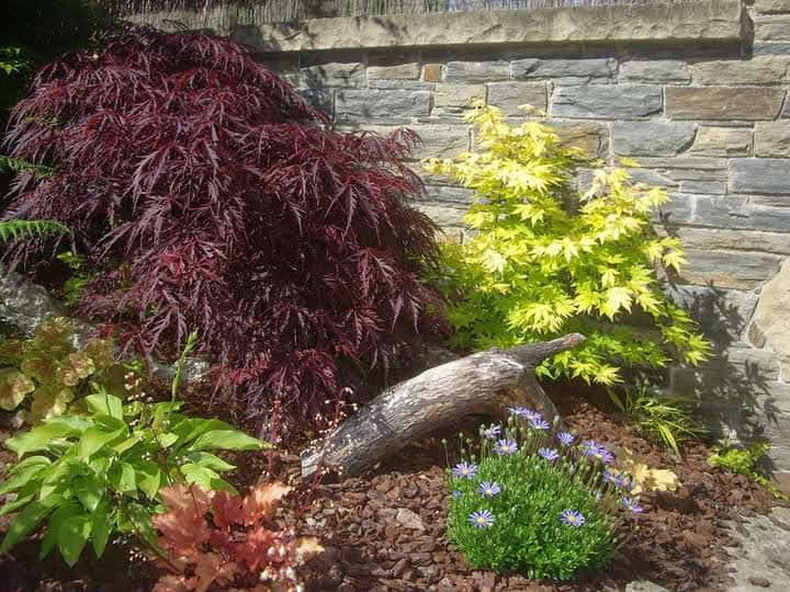 En el barrio del Peñeo, en la villa costera de Candás (Carreño), se esconde un hermoso y colorido jardín particular hecho a mano por el profesional y empresario de la jardinería Fernando Álvarez del Valle.