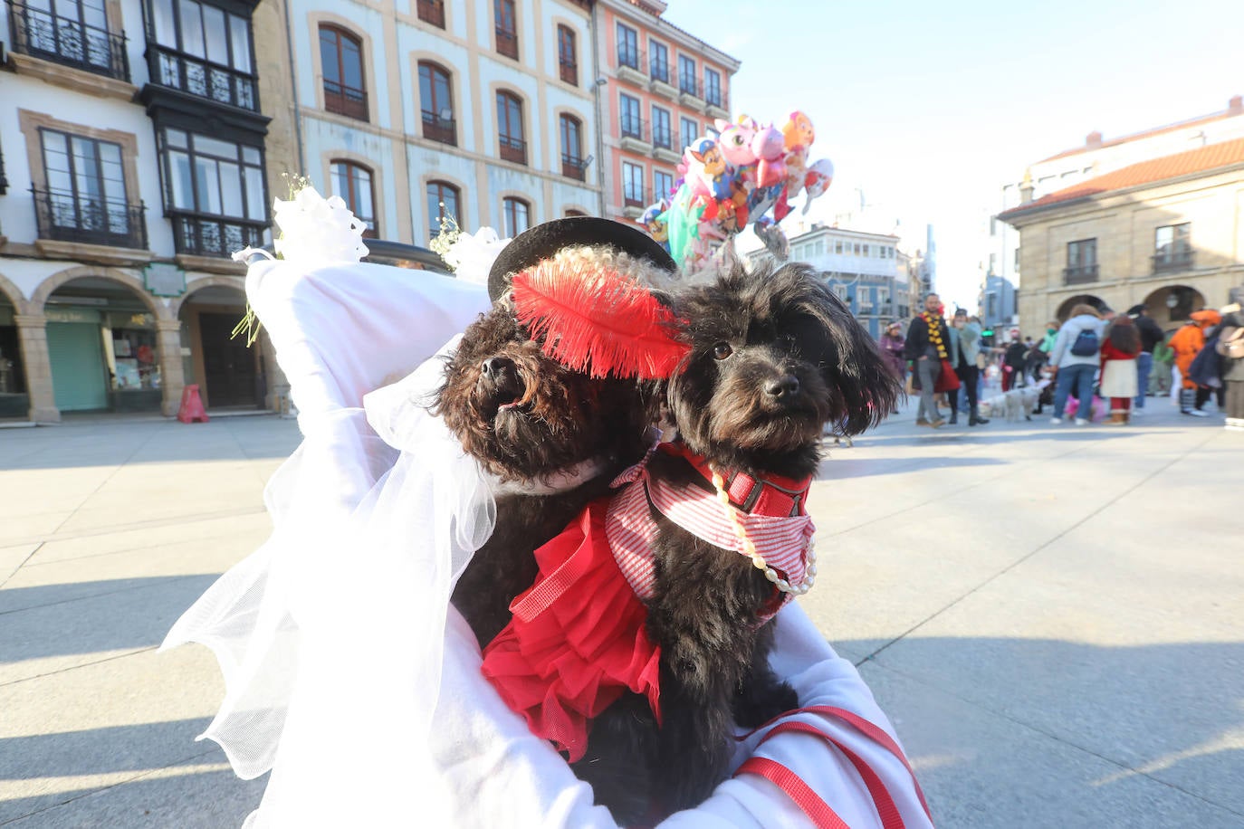 Fotos: Las mascotas se antroxan en Avilés