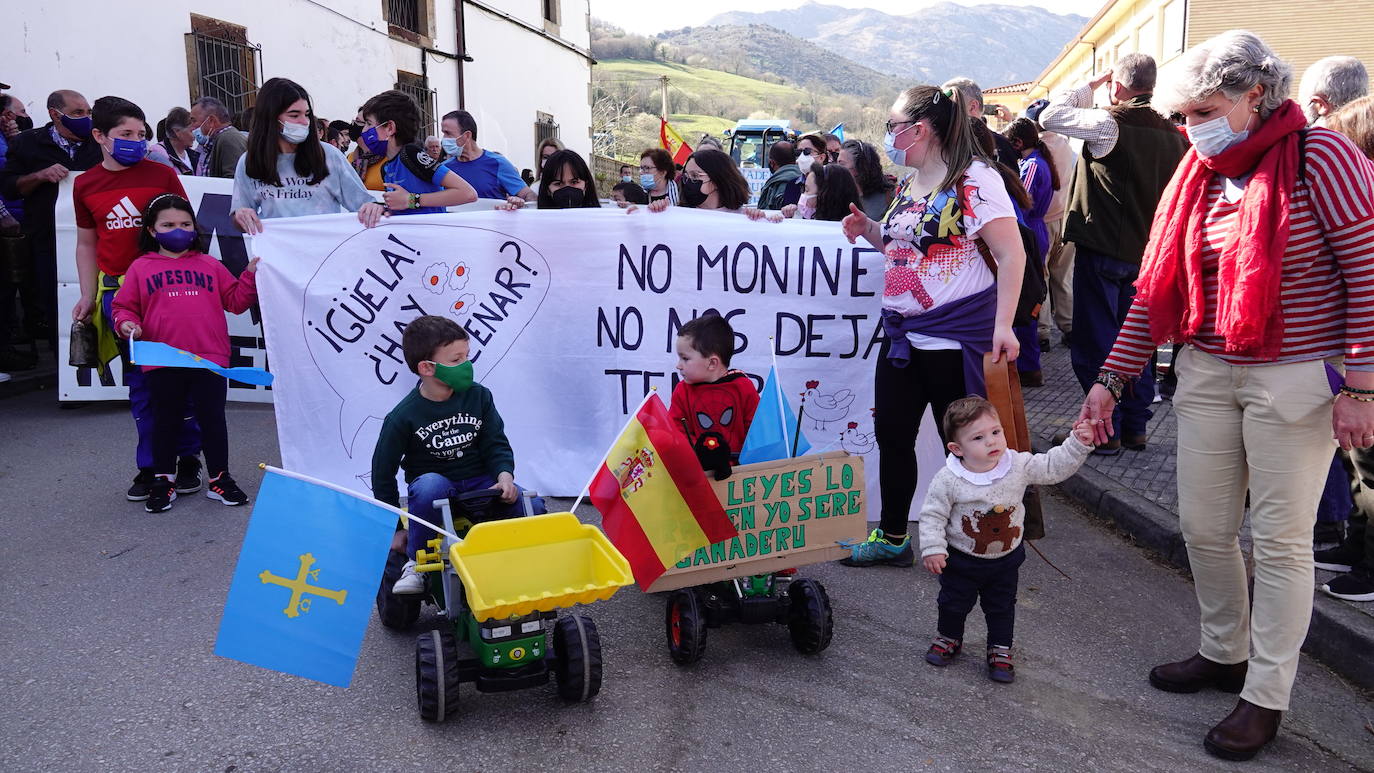 Una tractorada por el futuro de la ganadería y la agricultura en la comarca oriental de Asturias, convocada por la Asociación de Ganaderos y Agricultores del oriente de Asturias (Ganagri), recorrió este mediodía los 3,5 km que separan Suarías de Panes, capital de Peñamellera Baja por la carretera la carretera N-621