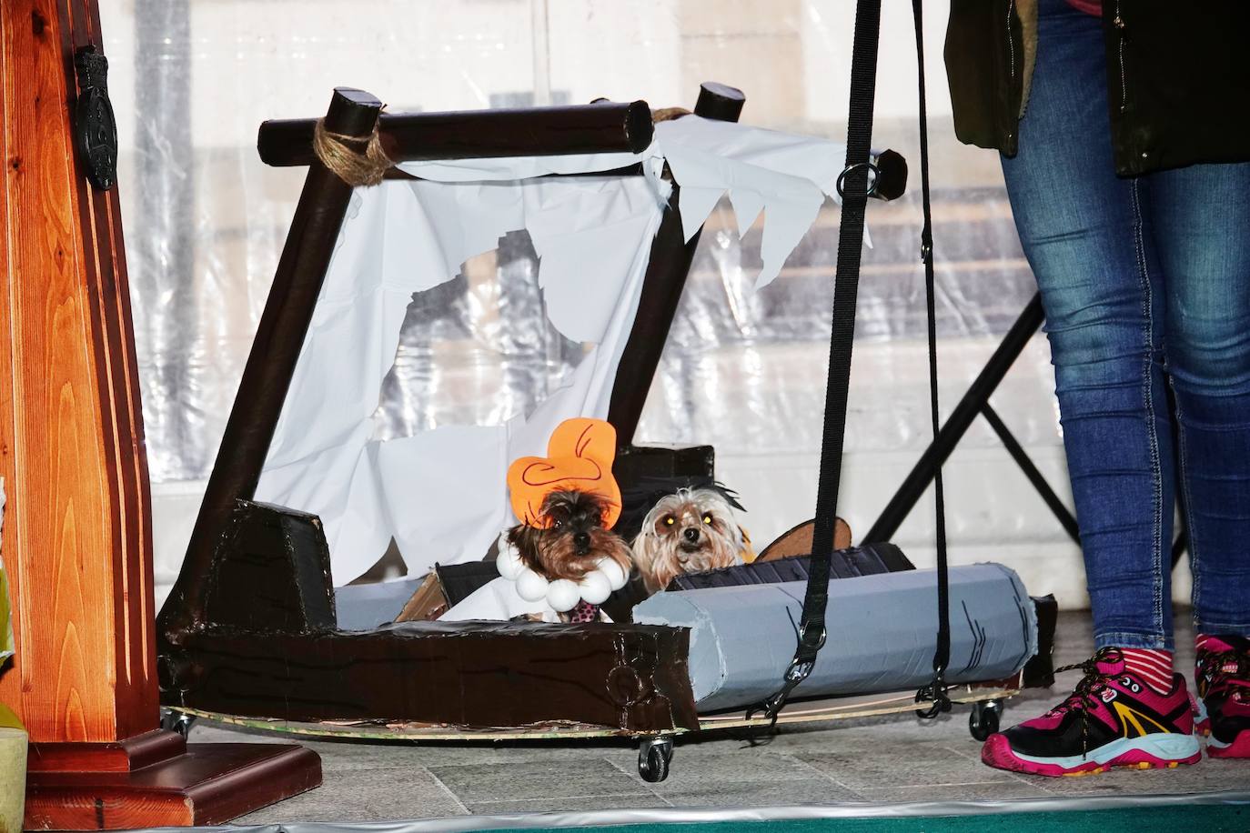 Fotos: Las mascotas de Cangas de Onís también se disfrazan