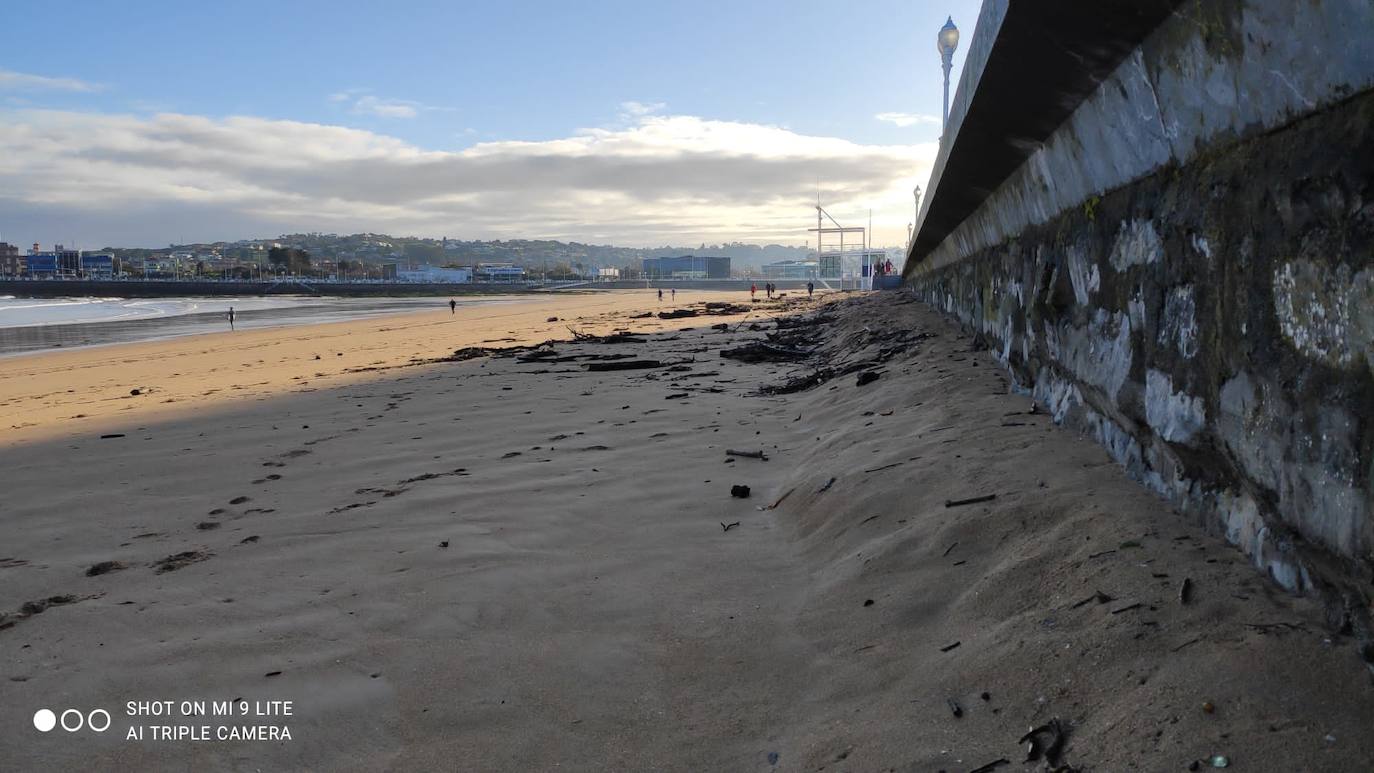 Personal de la Empresa Municipal de Limpieza del Ayuntamiento de Gijón (Emulsa) ha retirado un total de 4.600 kilos de madera acumulada en la playa gijonesa que acumuló «gran cantidad de ramas y troncos» que fueron arrastrados por el río Piles hasta el arenal a causa del temporal de los últimos días. 