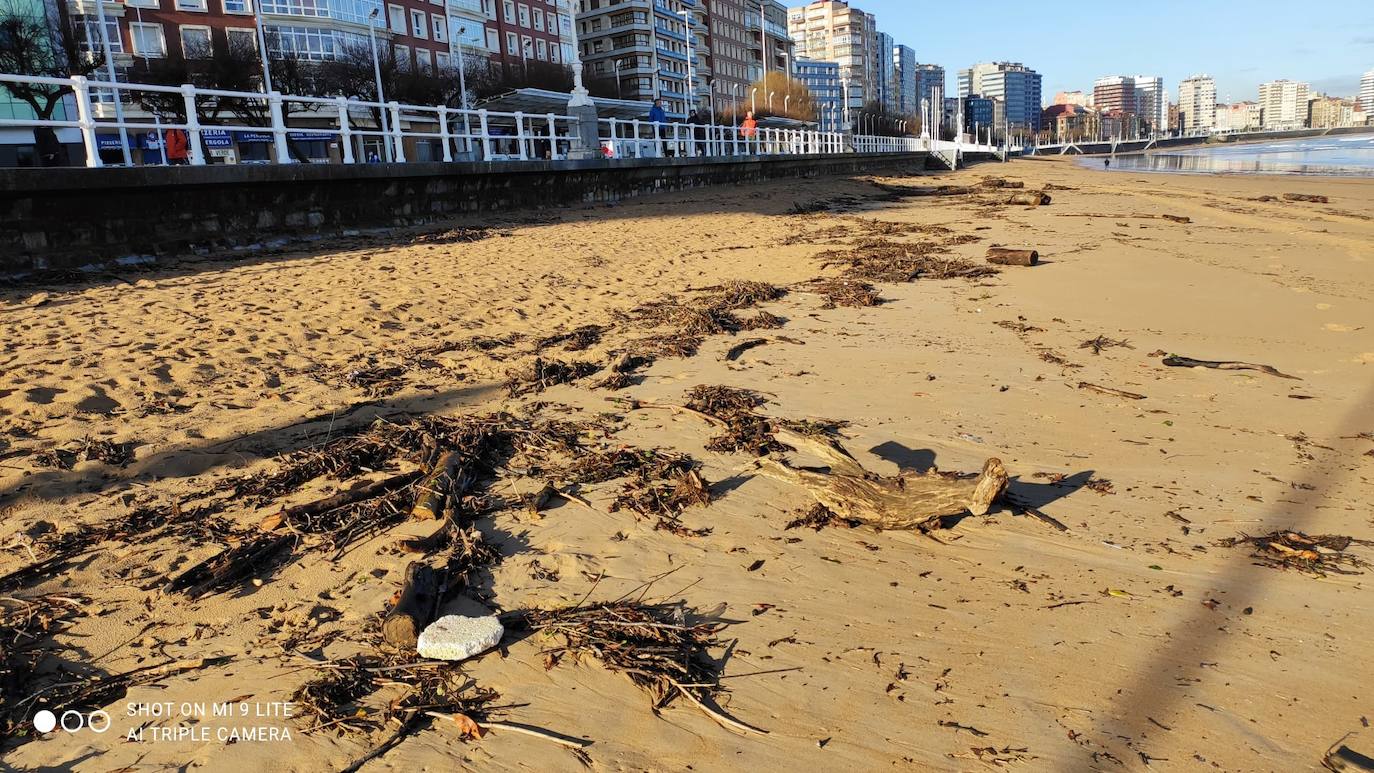 Personal de la Empresa Municipal de Limpieza del Ayuntamiento de Gijón (Emulsa) ha retirado un total de 4.600 kilos de madera acumulada en la playa gijonesa que acumuló «gran cantidad de ramas y troncos» que fueron arrastrados por el río Piles hasta el arenal a causa del temporal de los últimos días. 