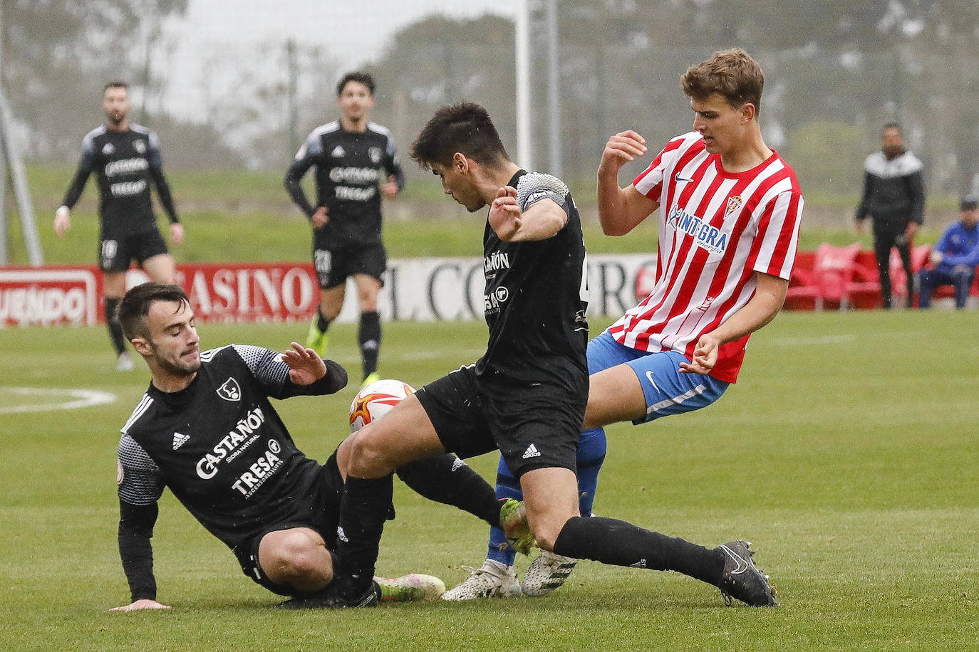 Fotos: Las mejores imágenes del Sporting B - Lealtad