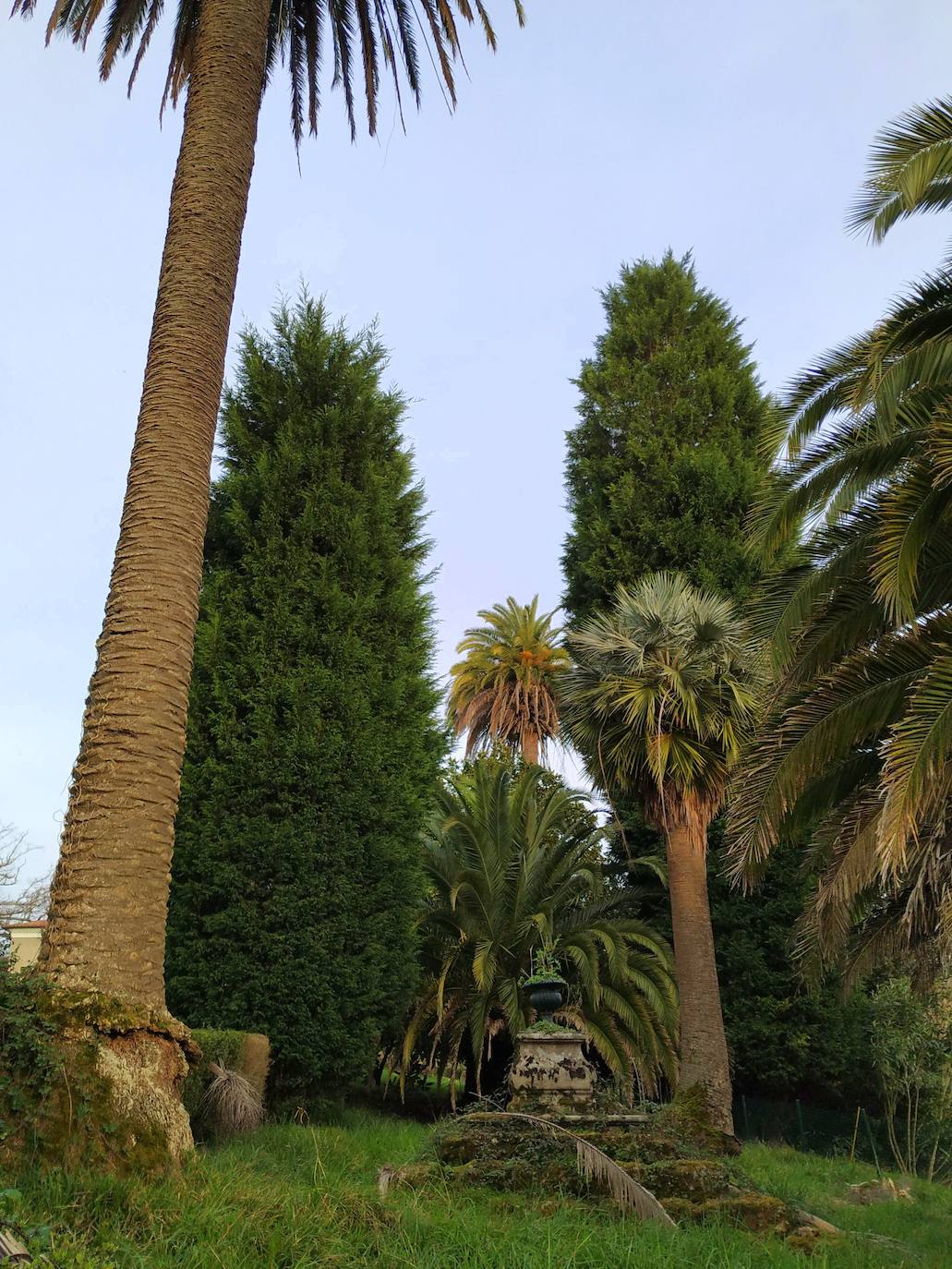 Los árboles más altos de la parte superior del jardín: palmeras canarias, washingtonianas, tuyas y cipreses de Lawson con el basamento donde antiguamente estaba el crucifijo.