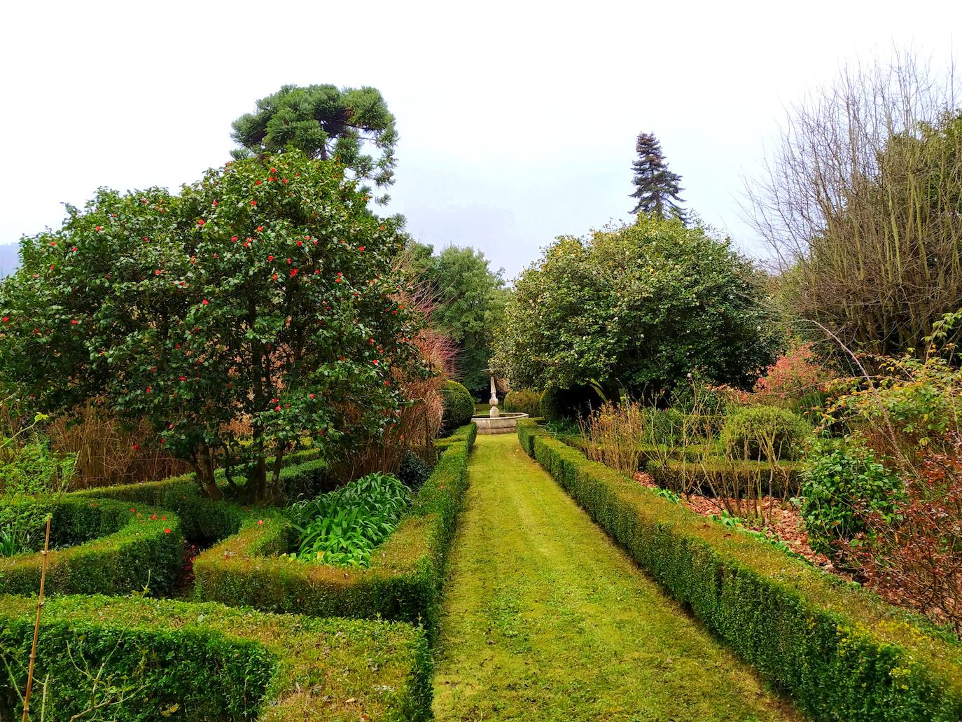 Vista N-S del jardín francés por la avenida principal que conduce a la fuente. Al fondo, a la izquierda, sobresale la araucaria bidwillis. Véanse los portes de los árboles de camelias casi bicentenarias.