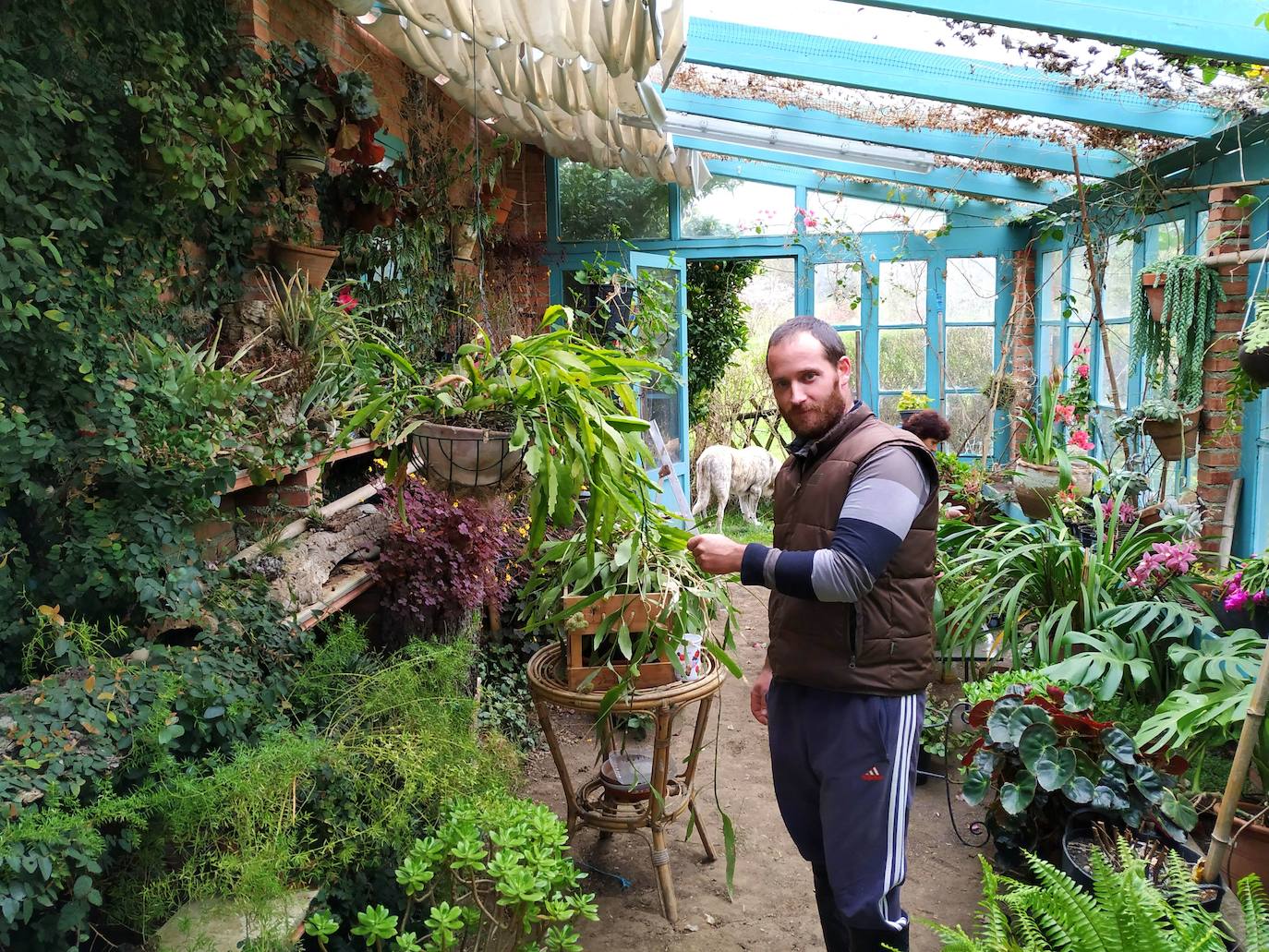 Ramón, el jardinero, en el interior del llamativo invernadero que Carmen Armada tiene en la parte de arriba de la finca.