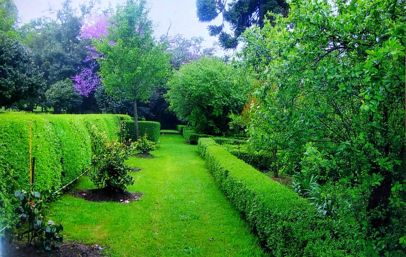 Pasillo exterior del jardín francés en el año 2000 tras las obras de reforma y recuperación formal del mismo, con la hilera de camelias compradas por Carmen Armada en la Feria de Turón y el árbol del amor al fondo a la izquierda.