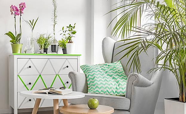 Imagen principal - En cualquier lugar del hogar son unas buenas compañeras