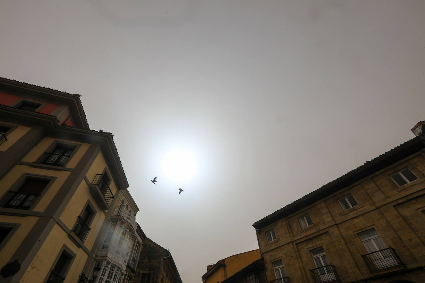 La intrusión de una gran masa en suspensión está dejando las calles y los coches de media España cubiertos de polvo rojo. En Asturias este polvo sahariano también se ha dejado notar y en zonas como el puerto de San Isidro se apreciaba con más intensidad.