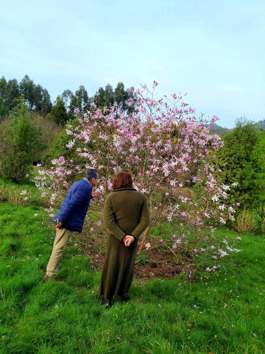 Miguel Llana-Valdés y Carmen Armada ojean una de las bolas de magnolia caducifolia.