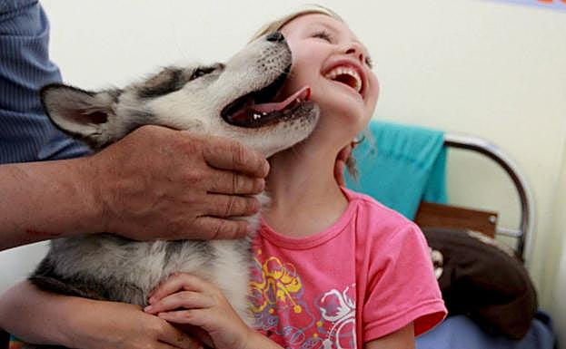 La terapia con perros es muy efectiva con los niños