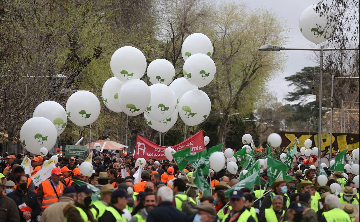Manifestación del mundo rural en Madrid.