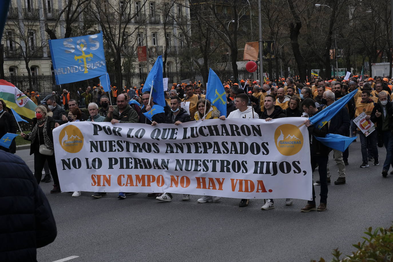 Decenas de miles de personas han tomado las calles de Madrid en una petición desesperada de auxilio al Gobierno por su supervivencia.