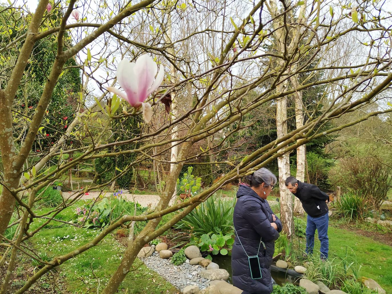 Miguel Llana-Valdés y Margó Álvarez husmean en busca de especies raras y singulares tras una magnolia caducifolia