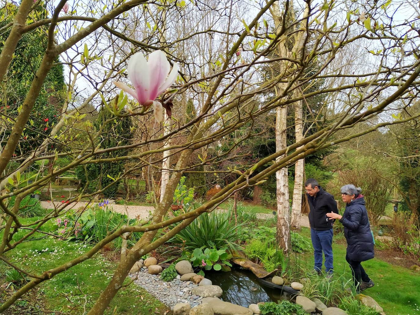 Miguel Llana-Valdés y Margó Álvarez husmean en busca de especies raras y singulares tras una magnolia caducifolia