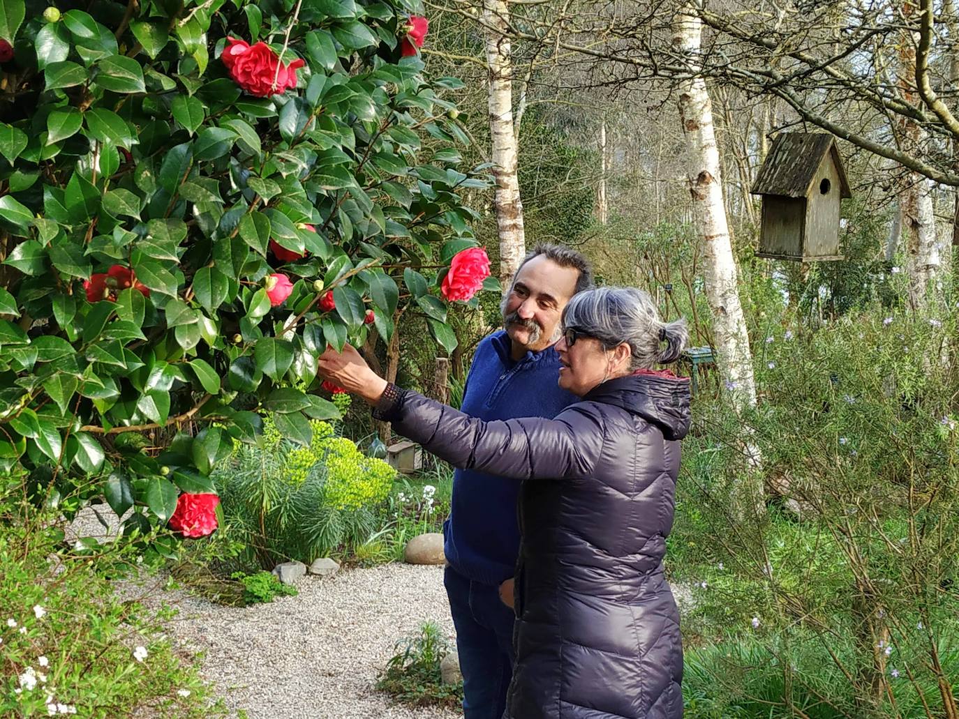 Margó Álvarez y José Luis Alonso visionan la portentosa camelia japónica