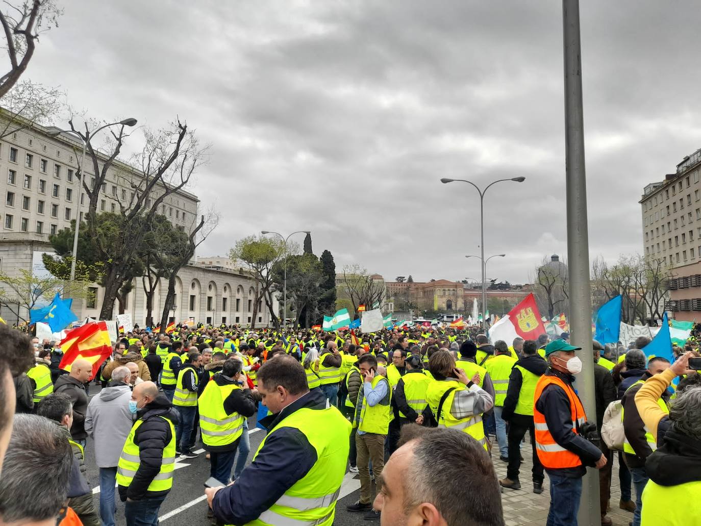 «Están eludiendo el problema de fondo, no estamos pidiendo subvenciones, sino unos precios garantizados para cubrir nuestros costes de explotación», señalan los transportistas, entre los que se encontraba un buen grupo de asturianos que se han trasladado a la capital para secundar la protesta. 