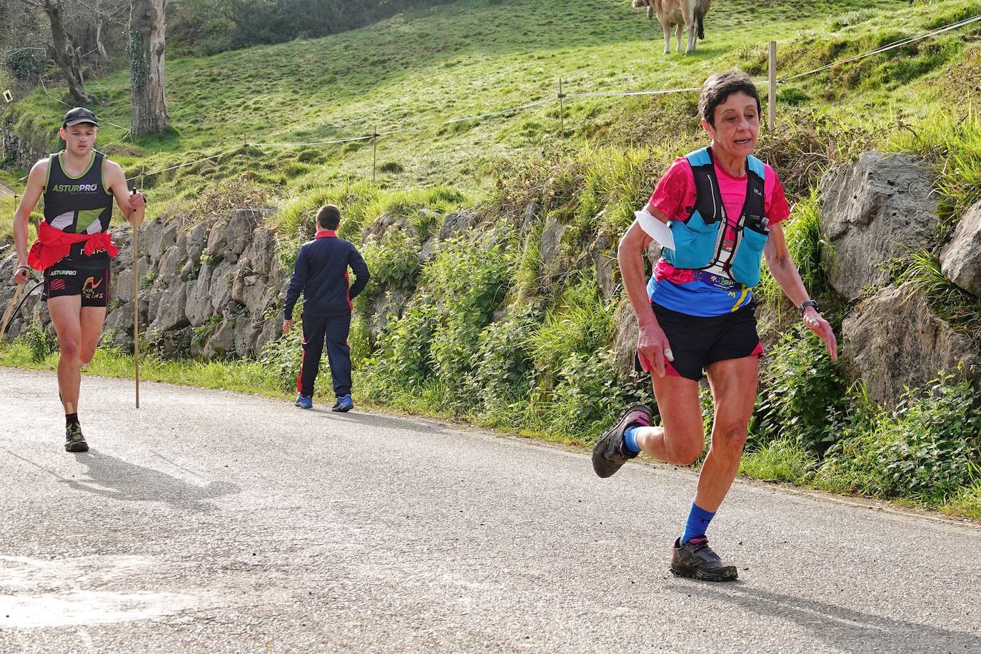 Sin duda, una de las cumbres más visitadas y más accesibles de Asturias es la ruta al PIcu Pienzu, donde centenares de personas participaron en la carrera de su subida. Comienza como un paseo de dos kilómetros llanos por pastos de montaña, en los que tenemos vistas a la costa, por un lado, y, por otro, a Arriondas y los Picos de Europa, entre otras impresionantes vistas de montaña que deja su recorrido.
