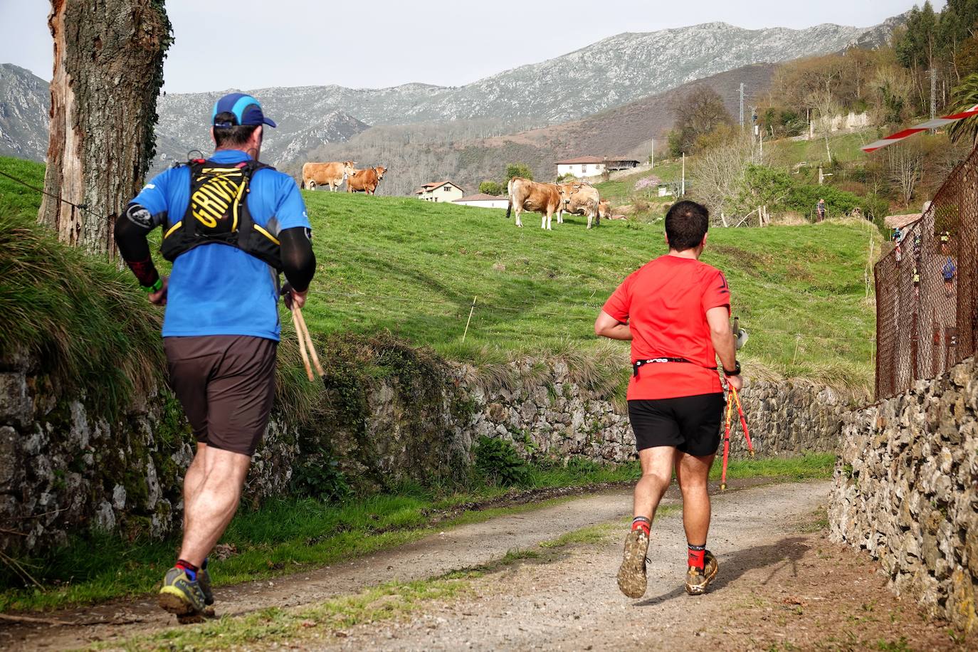 Sin duda, una de las cumbres más visitadas y más accesibles de Asturias es la ruta al PIcu Pienzu, donde centenares de personas participaron en la carrera de su subida. Comienza como un paseo de dos kilómetros llanos por pastos de montaña, en los que tenemos vistas a la costa, por un lado, y, por otro, a Arriondas y los Picos de Europa, entre otras impresionantes vistas de montaña que deja su recorrido.