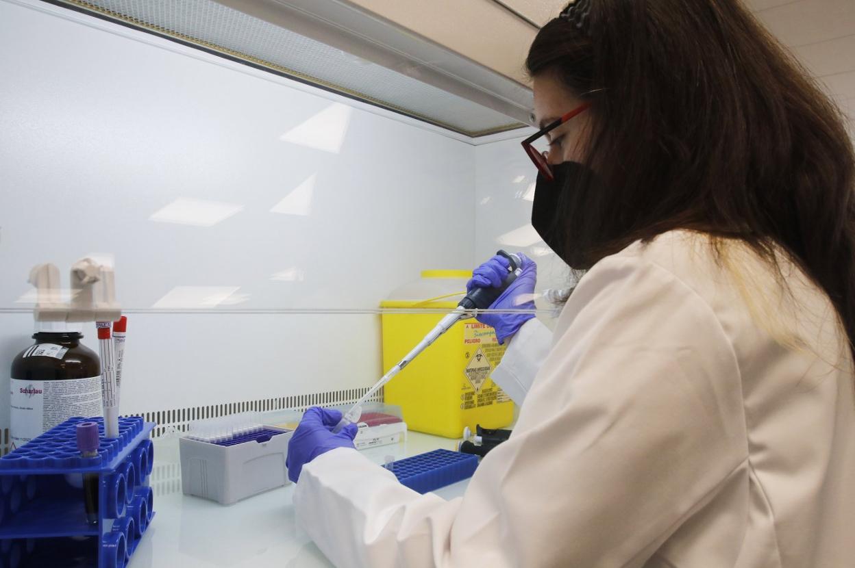 La genetista, Ginevra Bonelli, trabaja en una fase del diagnóstico genético. 