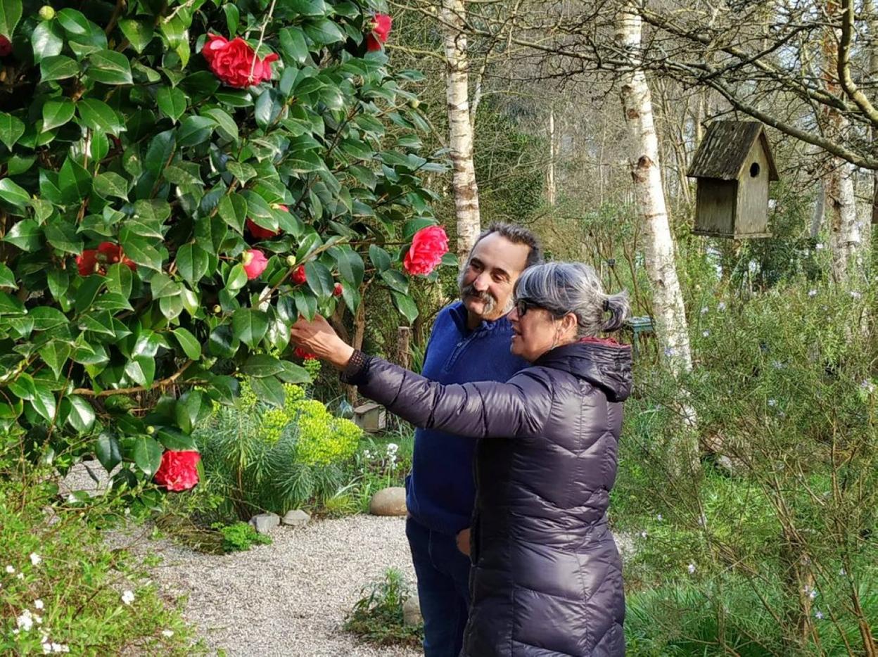 Margarita Álvarez y José Luis Alonso contemplan una llamativa y añosa camelia.