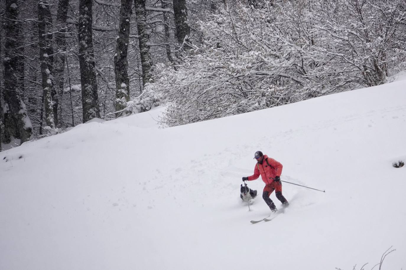 La llegada de la borrasca 'Ciril' ha devuelto el tiempo invernal a la región, con un notable descenso de las temperaturas y nieve en cotas bajas y abundantes chubascos en las ciudades asturianas