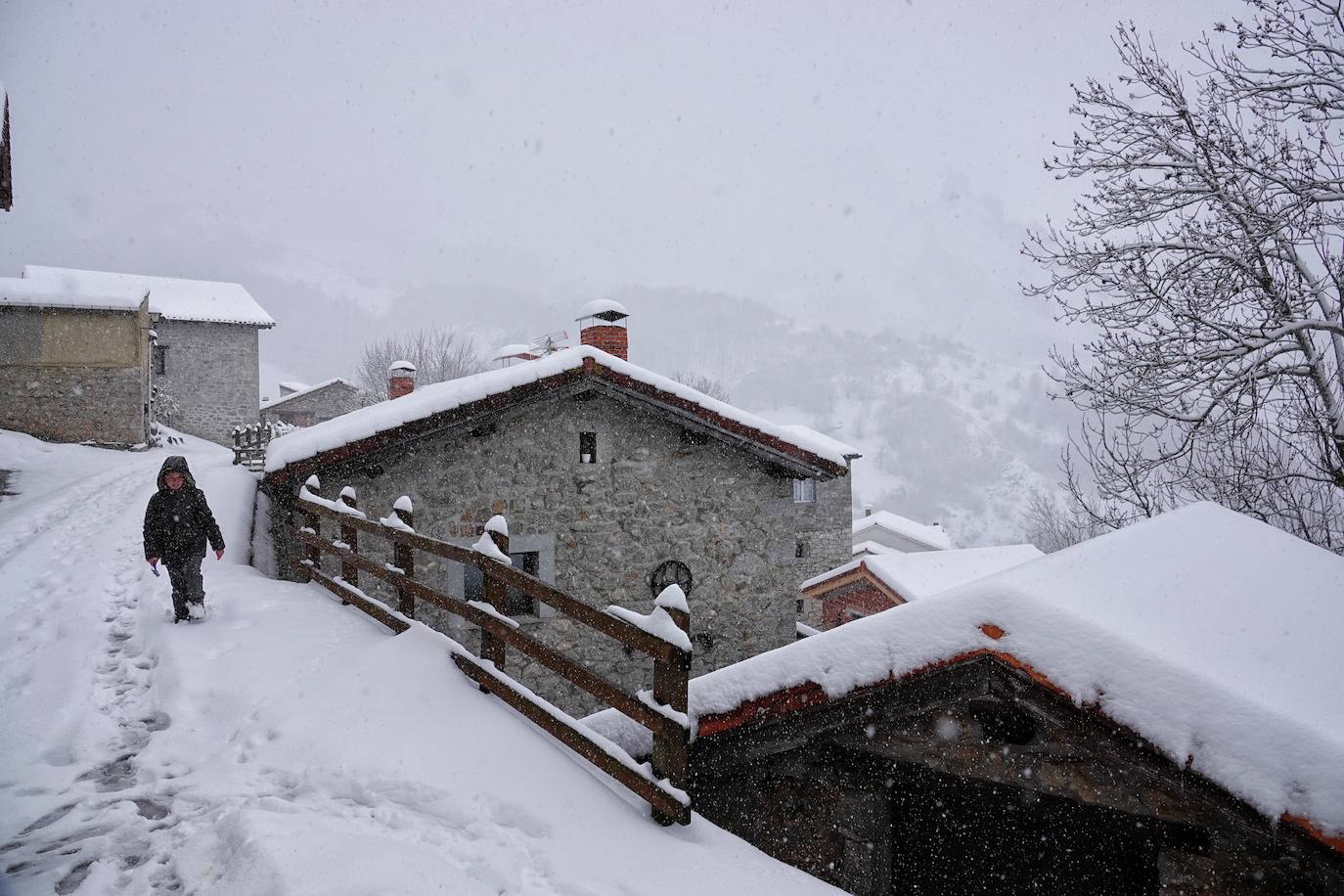 La llegada de la borrasca 'Ciril' ha devuelto el tiempo invernal a la región, con un notable descenso de las temperaturas y nieve en cotas bajas y abundantes chubascos en las ciudades asturianas