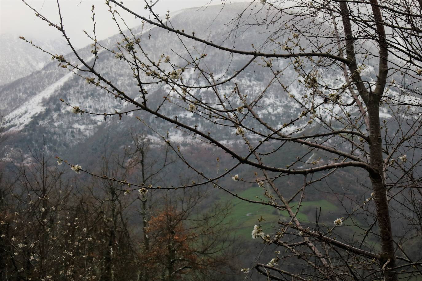 La llegada de la borrasca 'Ciril' ha devuelto el tiempo invernal a la región, con un notable descenso de las temperaturas y nieve en cotas bajas y abundantes chubascos en las ciudades asturianas