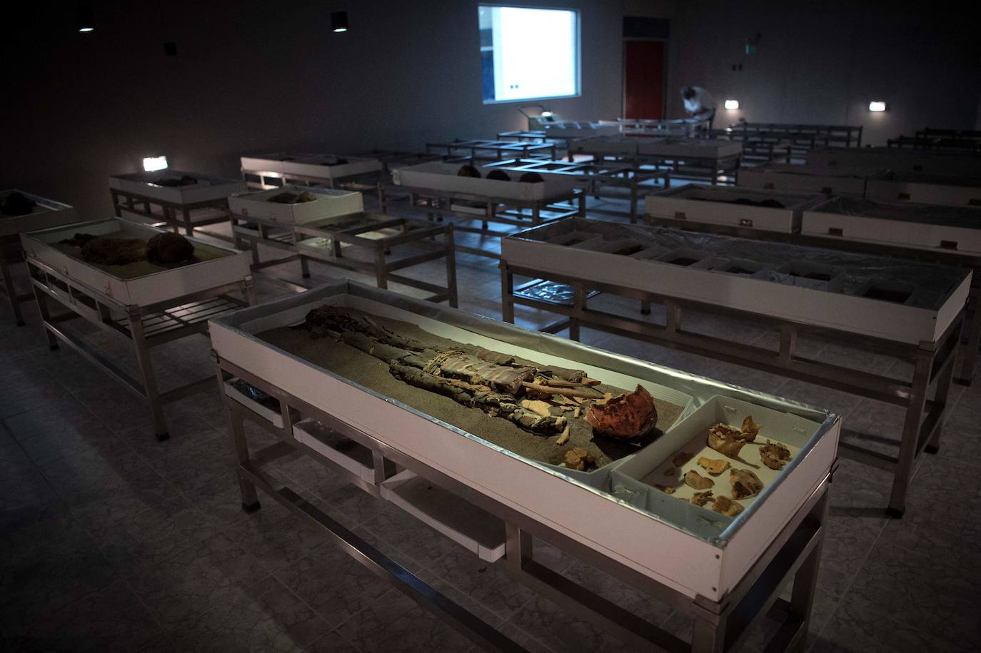 Hace más de 7.000 años, mucho antes que los egipcios, la cultura chinchorro, un pueblo de pescadores que habitaron el norte de Chile, desarrolló un sistema artificial de momificación que asombra por sus distintas técnicas y lo que revela sobre la relación con sus muertos. Las momias chinchorro, declaradas patrimonio de la humanidad por la Unesco en julio de 2021, son las más antiguas de mundo. Aunque con claras diferencias frente a las egipcias, que desarrollaron la momificación unos 2.000 años después, demuestran igualmente el avanzado dominio del cuerpo humano por parte de uno de los pueblos más primitivos de los que se tenga registro. Por su antigüedad no ha sido posible extraer el ADN de los cuerpos, lo que dificulta a los científicos conocer más antecedentes de esta cultura. Para seguir con las investigaciones, se va a construir un museo que exhibirá y conservará las más de 2.500 piezas arqueológicas y etnográficas.