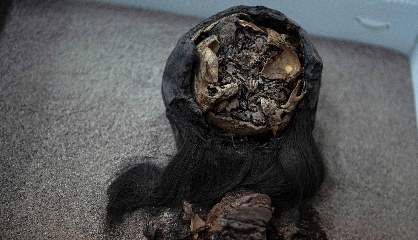 Hace más de 7.000 años, mucho antes que los egipcios, la cultura chinchorro, un pueblo de pescadores que habitaron el norte de Chile, desarrolló un sistema artificial de momificación que asombra por sus distintas técnicas y lo que revela sobre la relación con sus muertos. Las momias chinchorro, declaradas patrimonio de la humanidad por la Unesco en julio de 2021, son las más antiguas de mundo. Aunque con claras diferencias frente a las egipcias, que desarrollaron la momificación unos 2.000 años después, demuestran igualmente el avanzado dominio del cuerpo humano por parte de uno de los pueblos más primitivos de los que se tenga registro. Por su antigüedad no ha sido posible extraer el ADN de los cuerpos, lo que dificulta a los científicos conocer más antecedentes de esta cultura. Para seguir con las investigaciones, se va a construir un museo que exhibirá y conservará las más de 2.500 piezas arqueológicas y etnográficas.