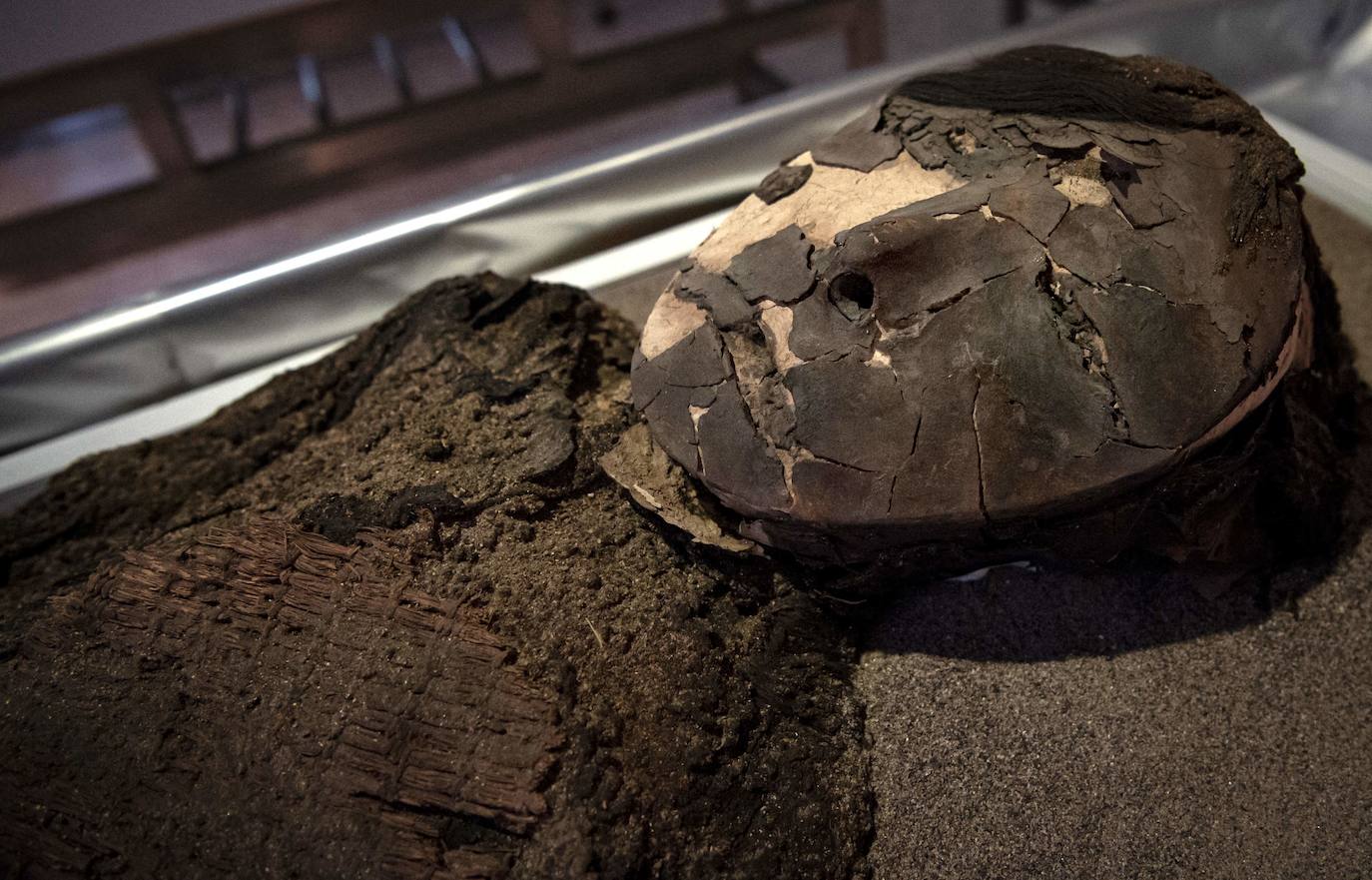 Hace más de 7.000 años, mucho antes que los egipcios, la cultura chinchorro, un pueblo de pescadores que habitaron el norte de Chile, desarrolló un sistema artificial de momificación que asombra por sus distintas técnicas y lo que revela sobre la relación con sus muertos. Las momias chinchorro, declaradas patrimonio de la humanidad por la Unesco en julio de 2021, son las más antiguas de mundo. Aunque con claras diferencias frente a las egipcias, que desarrollaron la momificación unos 2.000 años después, demuestran igualmente el avanzado dominio del cuerpo humano por parte de uno de los pueblos más primitivos de los que se tenga registro. Por su antigüedad no ha sido posible extraer el ADN de los cuerpos, lo que dificulta a los científicos conocer más antecedentes de esta cultura. Para seguir con las investigaciones, se va a construir un museo que exhibirá y conservará las más de 2.500 piezas arqueológicas y etnográficas.