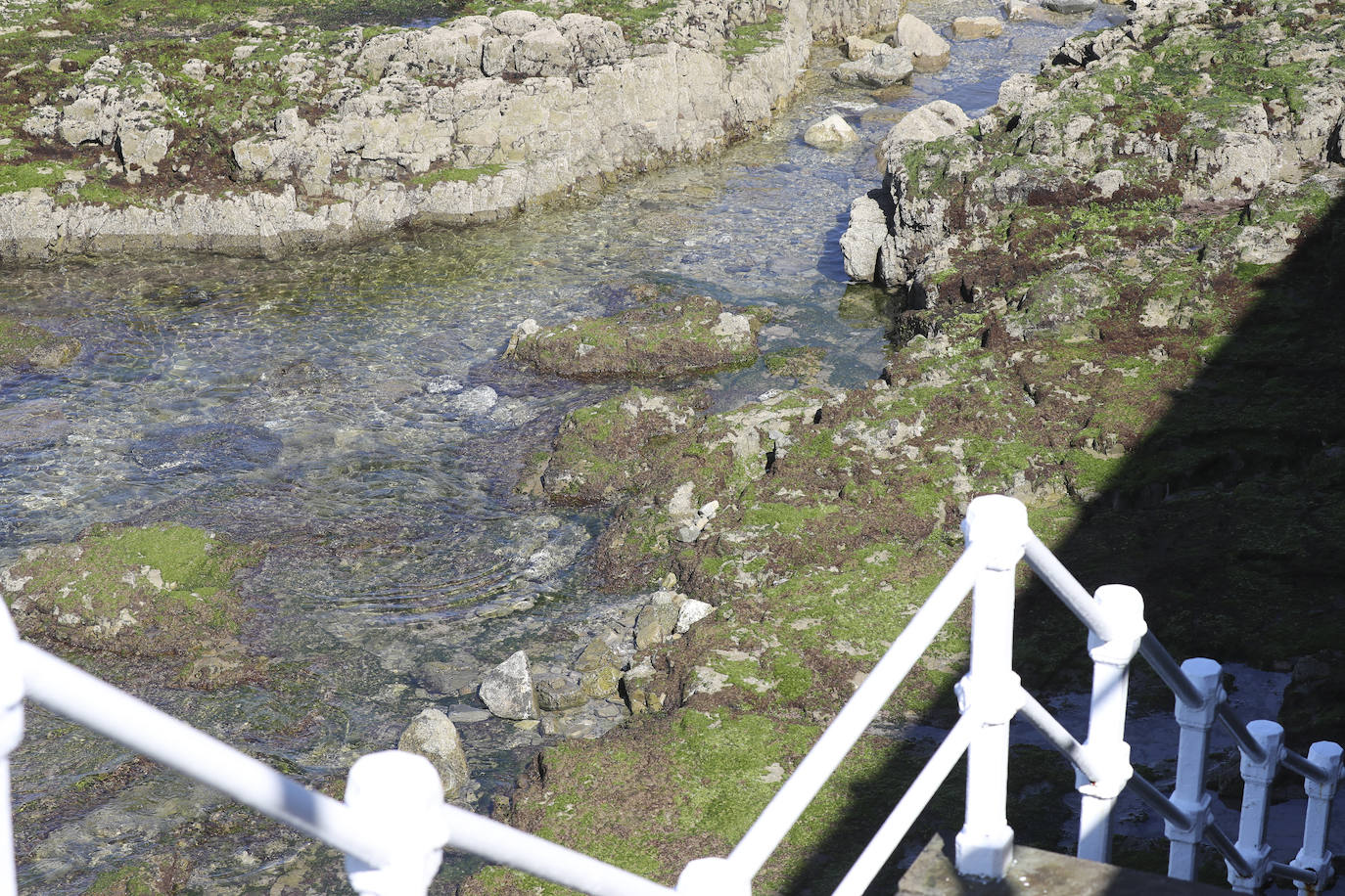 Los Bomberos de Gijón han procedido a rescatar a primera hora de esta tarde el cuerpo de una mujer de unos 60 años, según informa la Policía, cuyo cuerpo aparecía a la altura de la escalera 19 de la plaza de San Lorenzo, en Gijón.