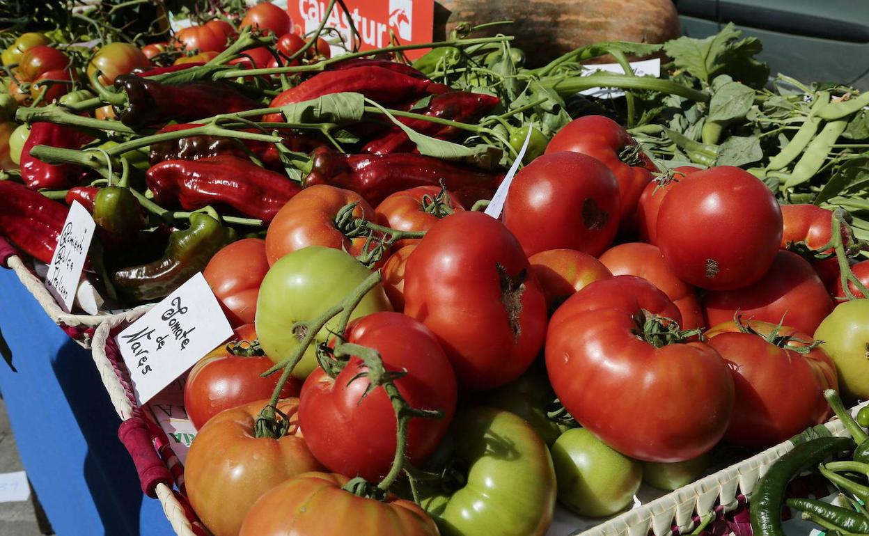 El precio medio de los alimentos básicos han subido casi un 10% en el último año