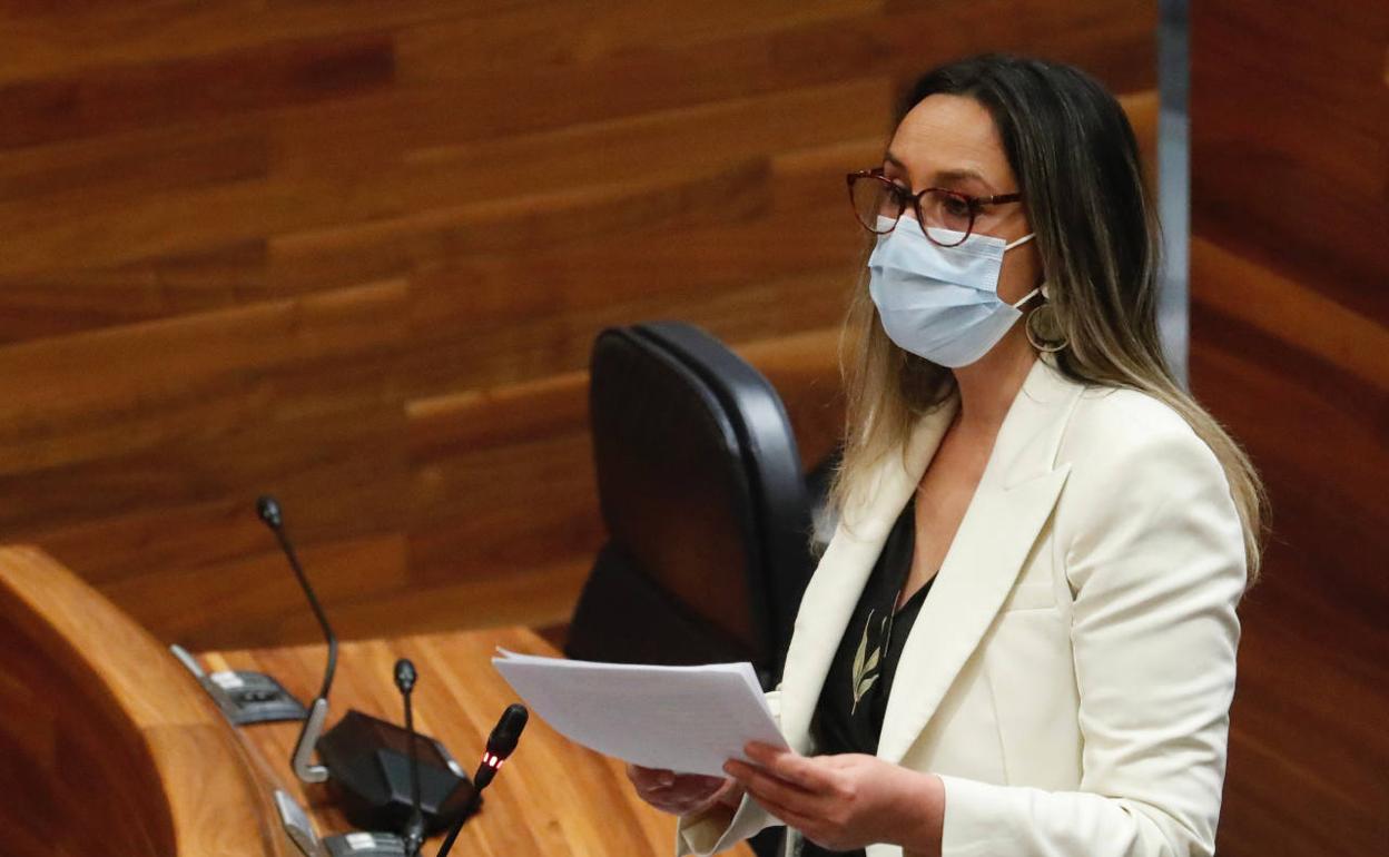 Rita Camblor, durante el pleno de la junta General celebrado este martes.