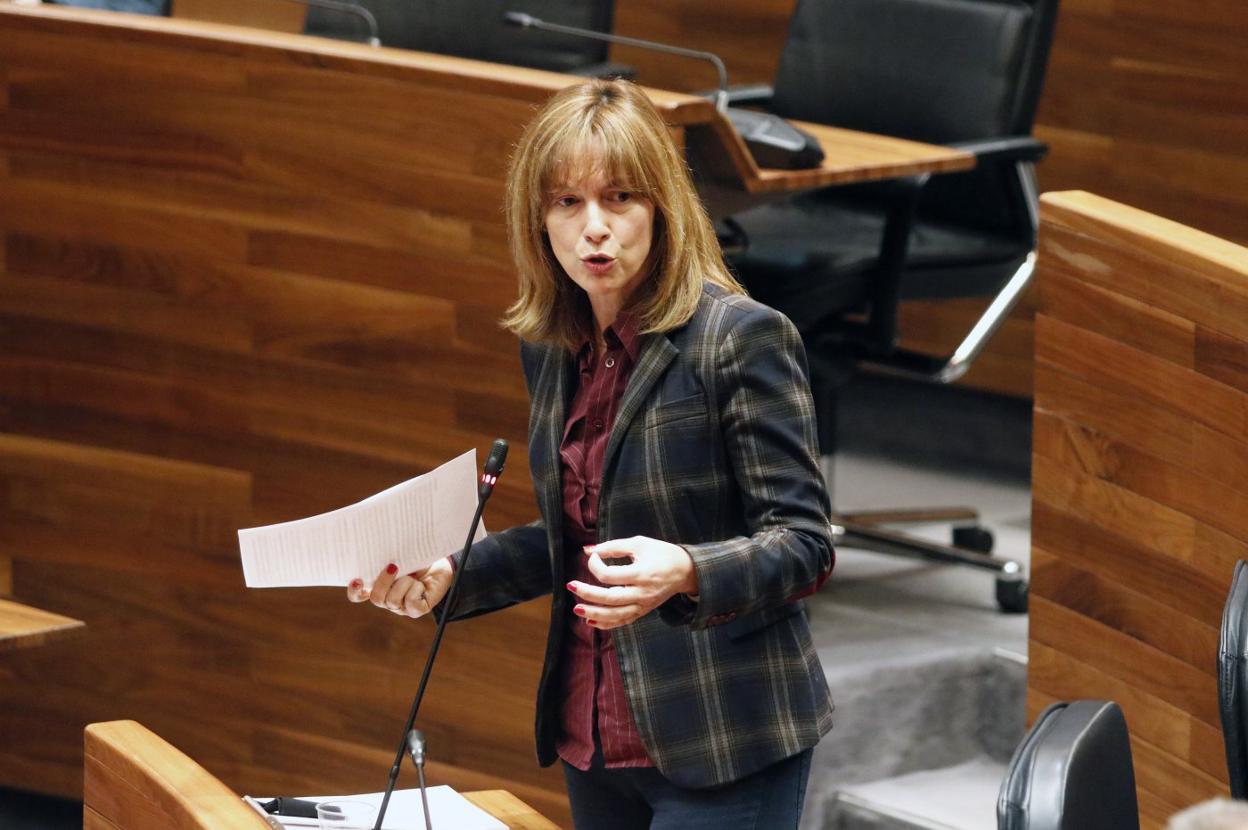 La consejera de Hacienda, Ana Cárcaba, durante el pleno. 