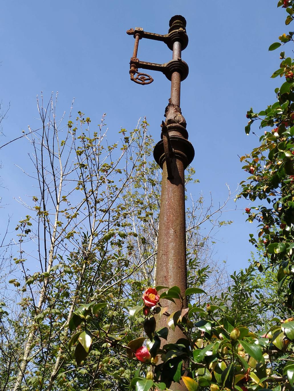 Viejo mástil de una farola de gas del siglo XIX en el extremo del bosque de camelias japónicas.