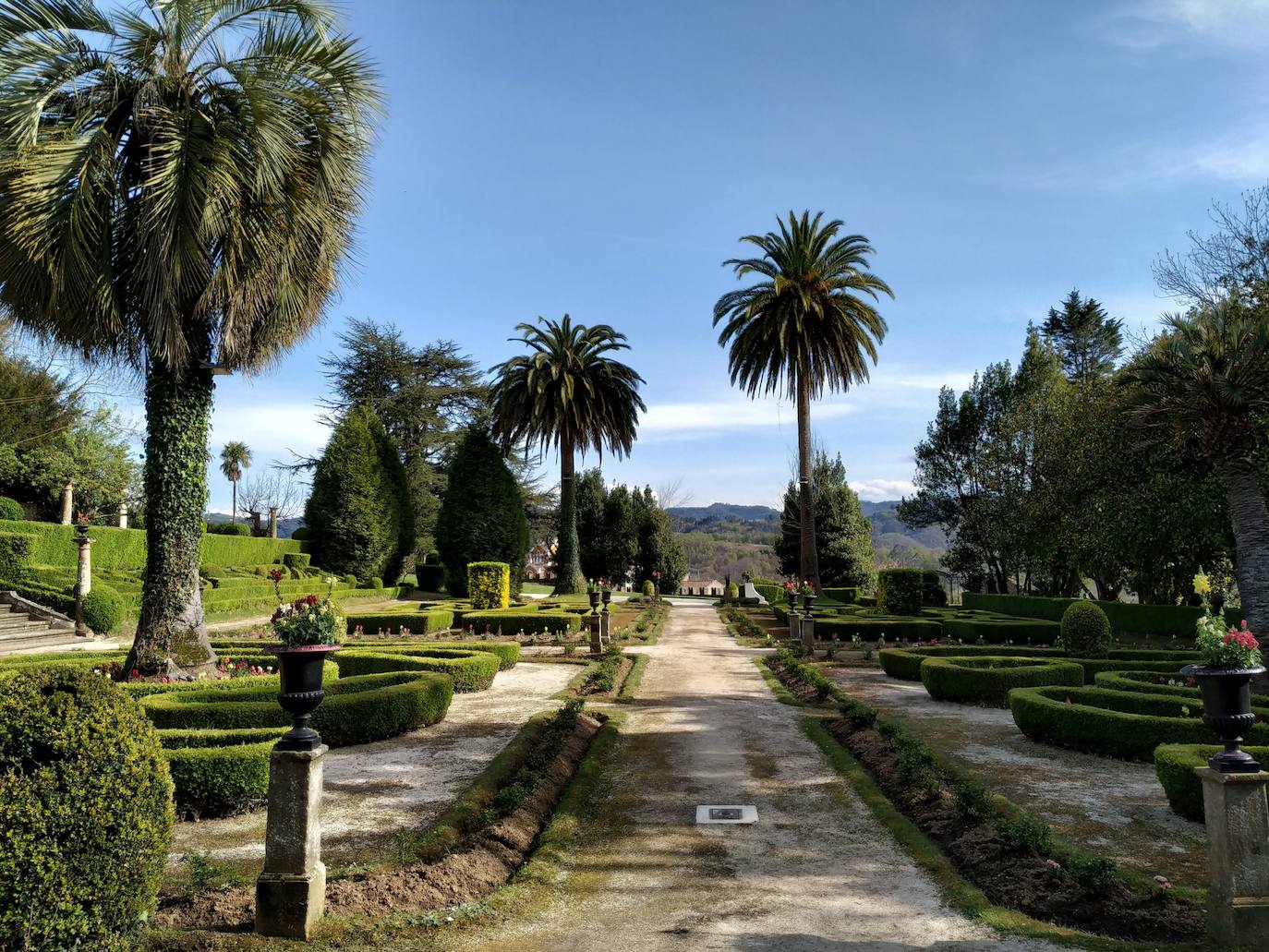 Vista N-S del jardín francés, con las butias en primer plano y al fondo las palmeras canarias de diferente edad.