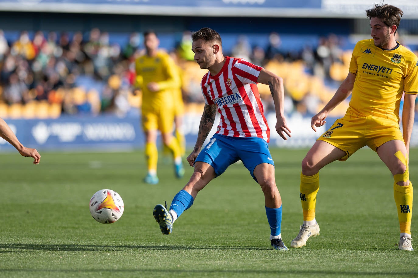 Fotos: Las mejores imágenes del Alcorcón - Sporting