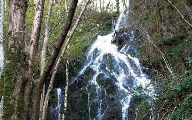 En plena Reserva de la Biosfera Oscos Eo, a lo largo de catorce kilómetros, la Ruta del Agua permite disfrutar del agua y comprender la importancia que para el mundo rural tuvo durante siglos el aprovechamiento hidráulico. Esta mágica ruta circular que sale de la parte baja de Taramundi transcurre por senderos y caminos de tierra a través del bosque.