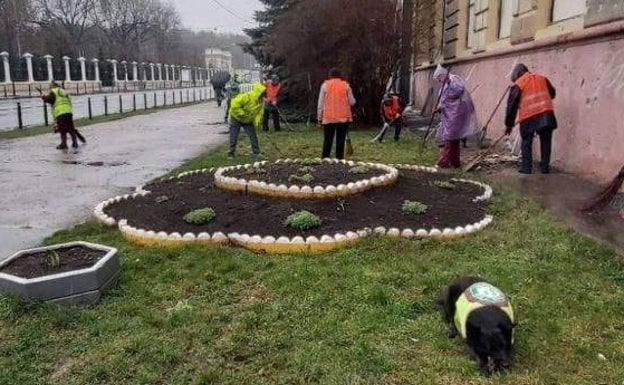 Trabajadores municipales, plantando flores por las calles de Járkov.