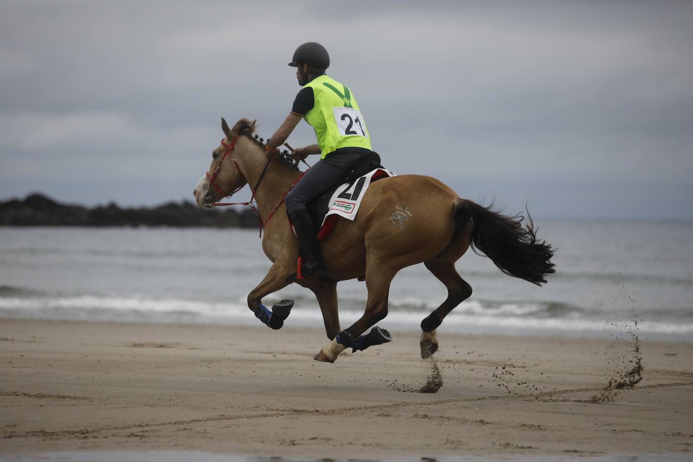 Tras dos años de parón debido a la pandemia, la playa riosellana de Santa Marina vuelve a ser el escenario de la 31 edición de las Carreras de Caballos. Las dos competiciones ecuestres que se celebran este viernes y el sábado cuentan con la participación de más de una treintena de caballos procedentes de Asturias, Galicia, Cantabria y País Vasco. Una prueba hípica de referencia en el norte de España y declarada de interés turístico regional.